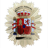 perito-judicial596 perito-judicial596